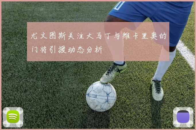 尤文图斯关注大马丁与维卡里奥的门将引援动态分析